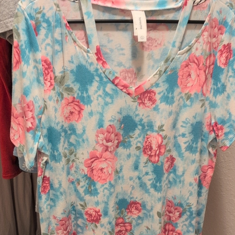 Honeyme Pink and Blue Floral V-Neck Blouse